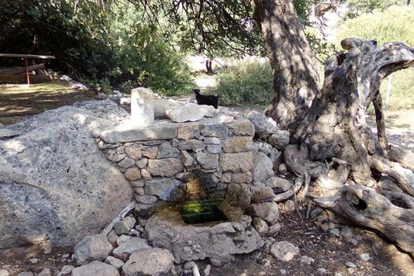 ancient-lissos-spring-chania-crete