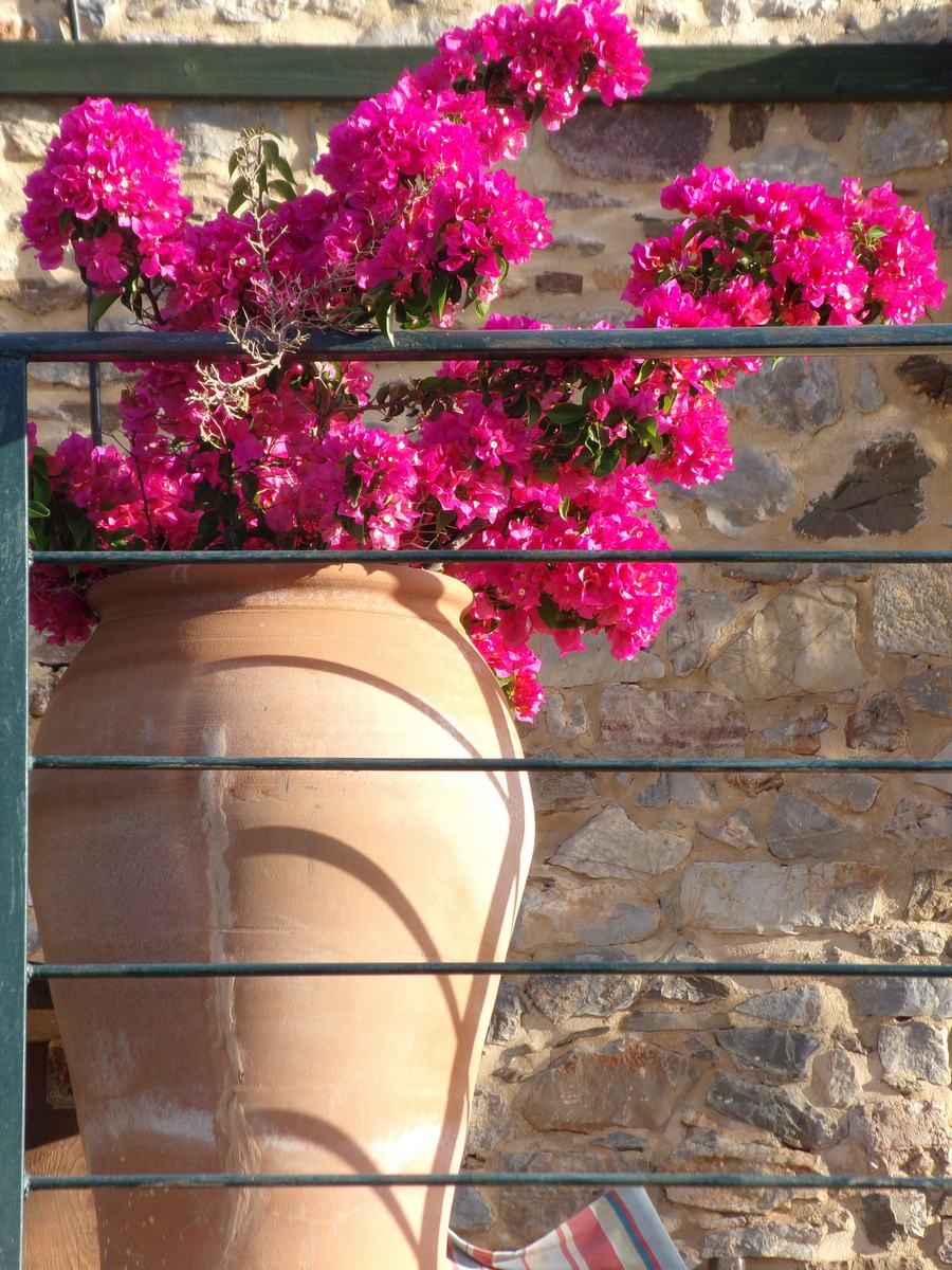 KODAK Digital Still Camera